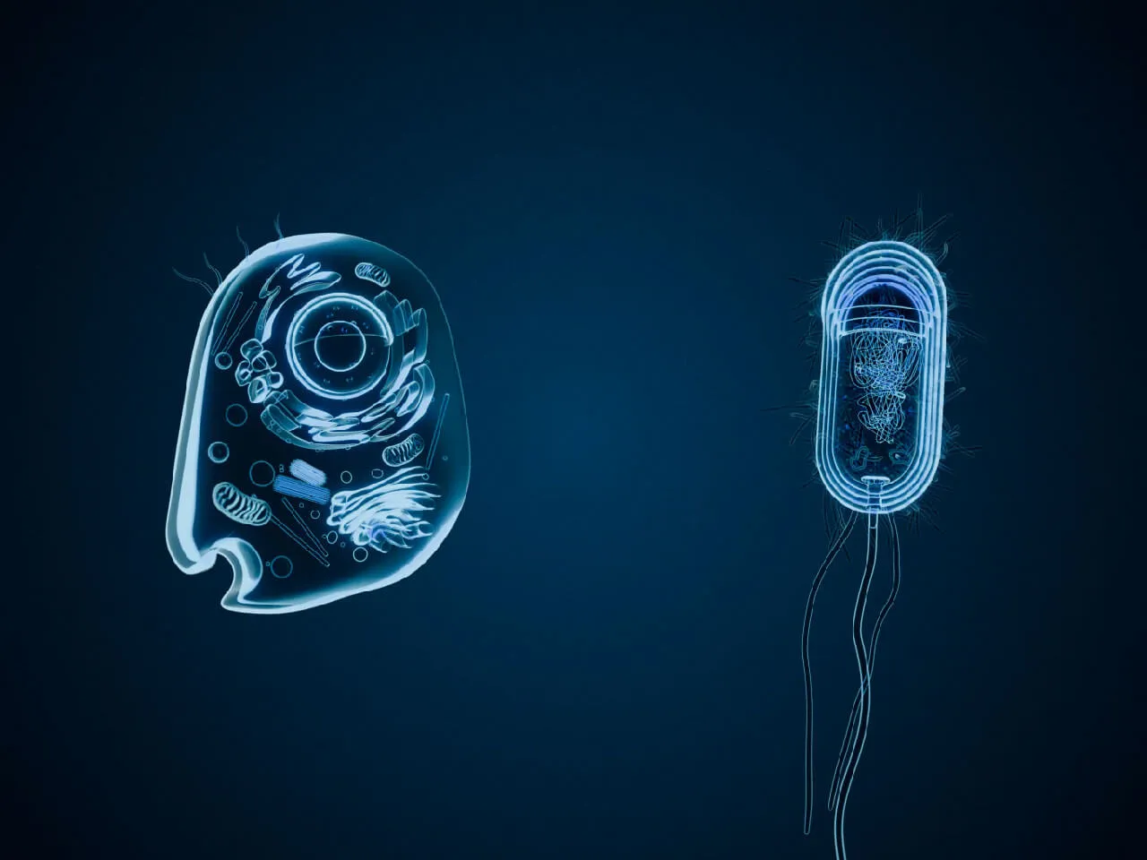 Leuchtend blaue 3D-Darstellung einer Zelle und eines Bakteriums auf dunklem Grund